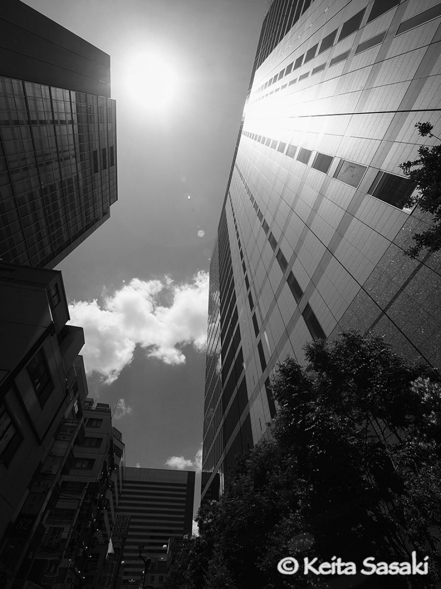 レンズの話「ZUIKO DIGITAL ED 7-14mm F4.0」 | GANREF