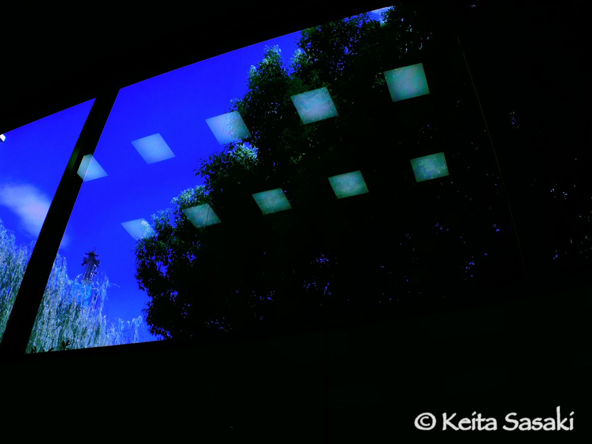PENTAX-04 TOY LENS WIDEで撮影された写真 | 写真検索 | GANREF