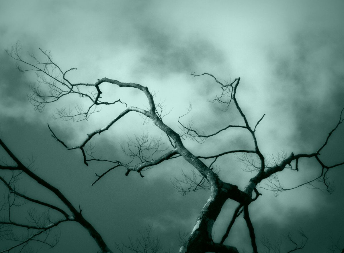 鉛色の空 自然 風景 空 雲 Ganref