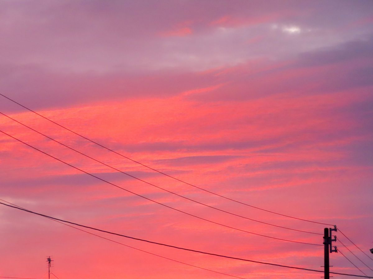 PowerShot SX740 HSで撮影された写真 | 写真検索 | GANREF
