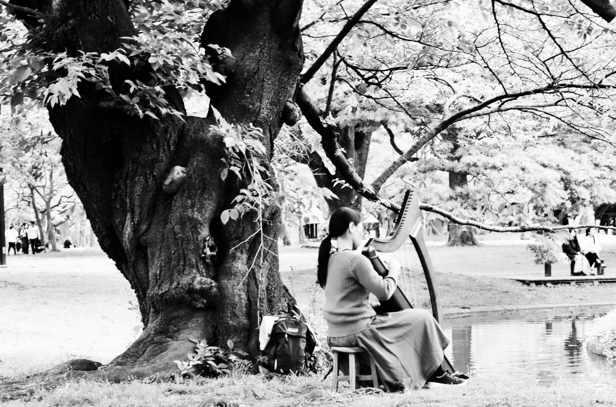 Ai AF NIKKOR 50mm f/1.8Dで撮影された写真 | 写真検索 | GANREF