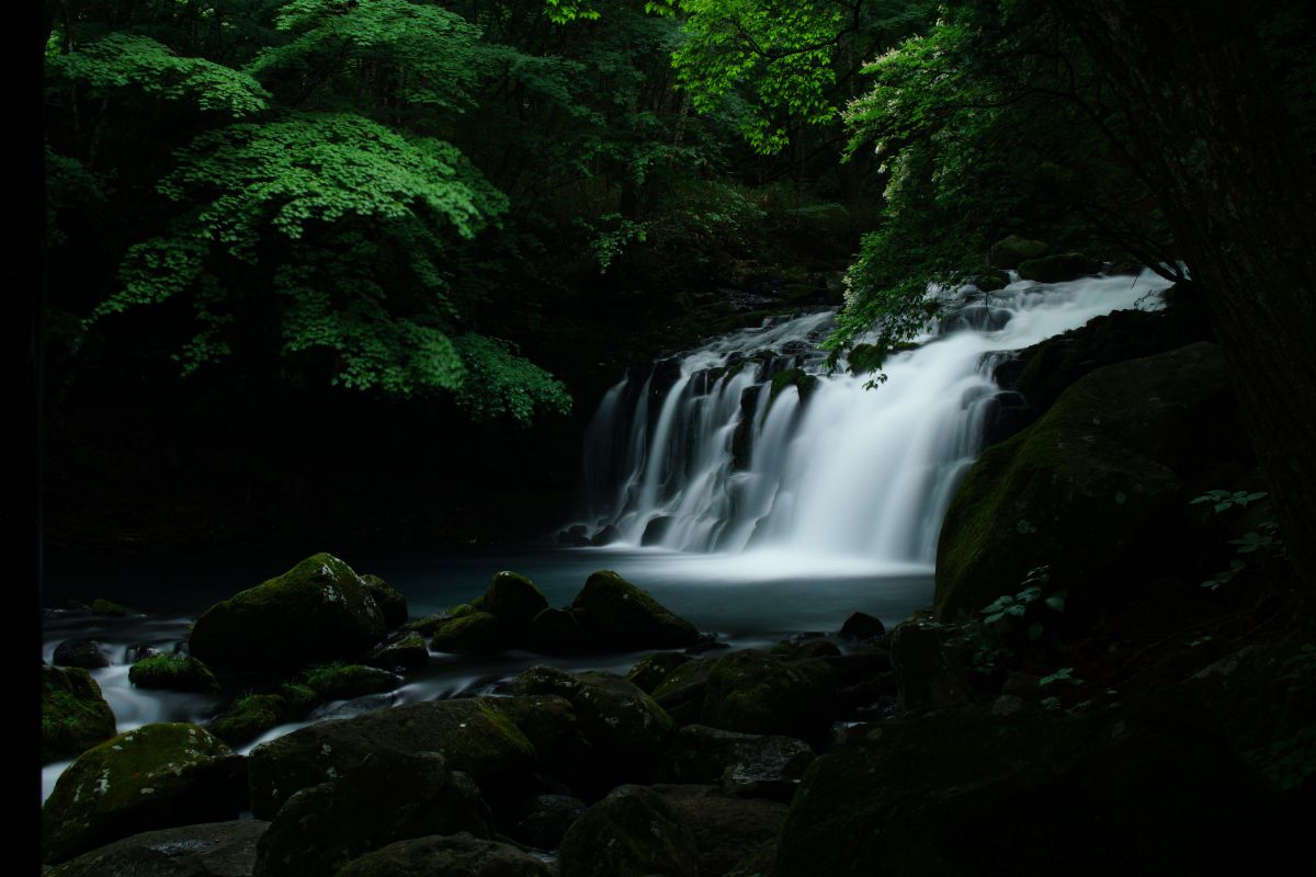 AF ZOOM 24-85mm F3.5-4.5 Newで撮影された写真 | 写真検索 | GANREF