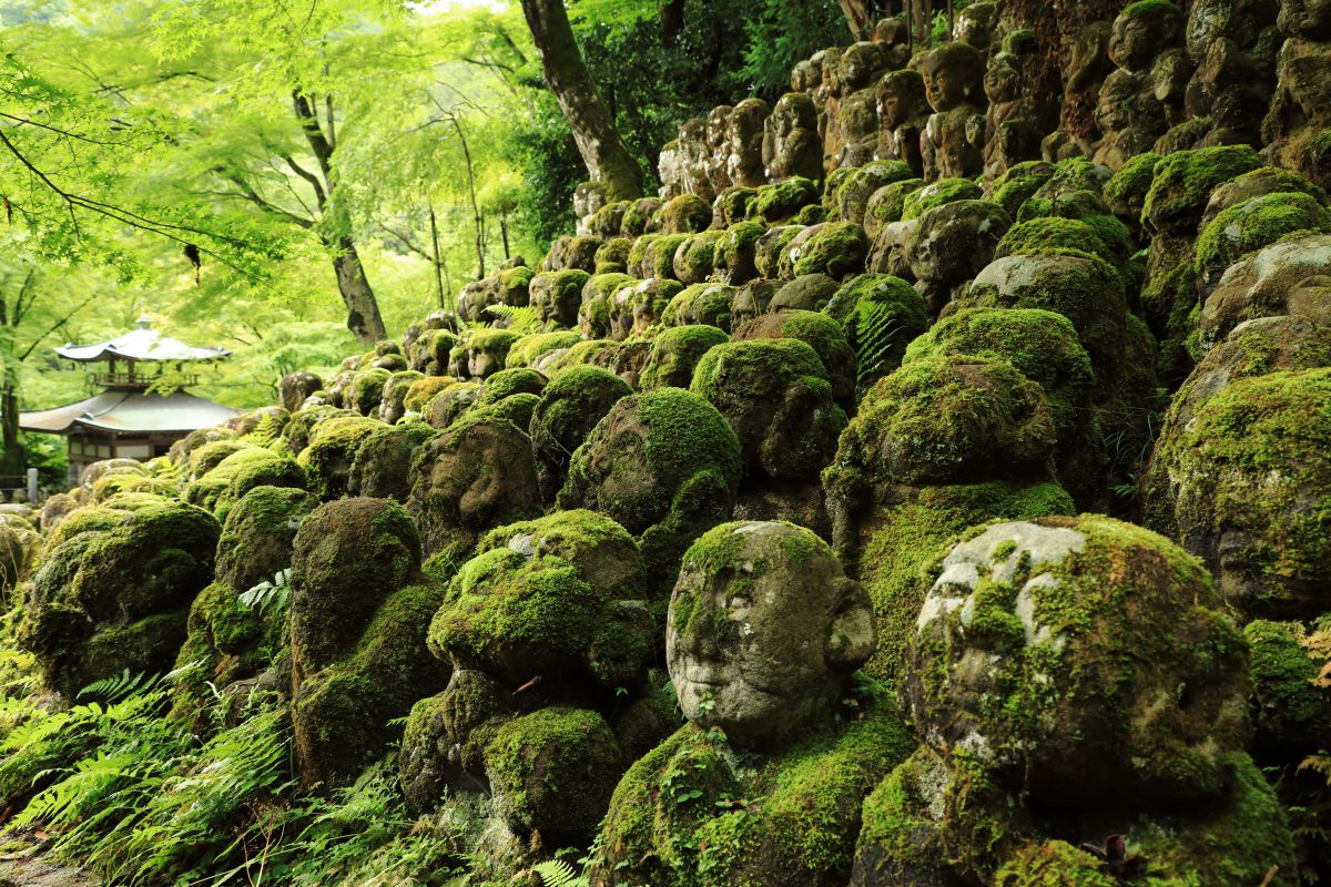 EF24-105mm F4L IS II USMで撮影された写真 | 写真検索 | GANREF