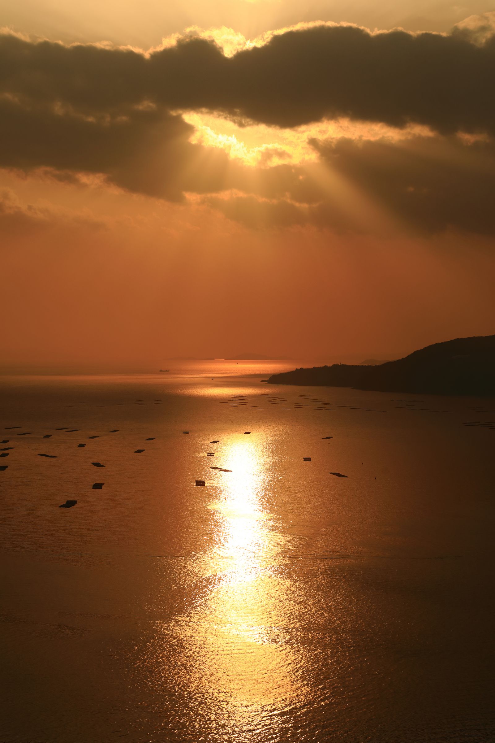 サンセットロード | GANREF