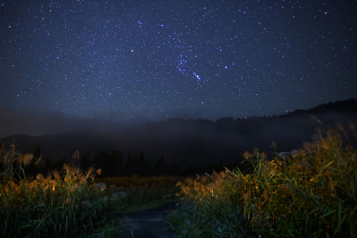 秋の夜空オリオン昇る 自然 風景 宇宙 天体 Ganref 秋の夜空オリオン昇る 自然 風景 宇宙 天体 Ganref