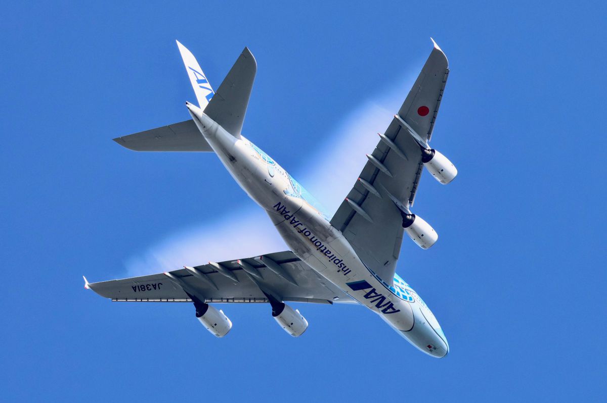 MDAwMDA2NzUxOQ_MC41MjM0MjkwMCA