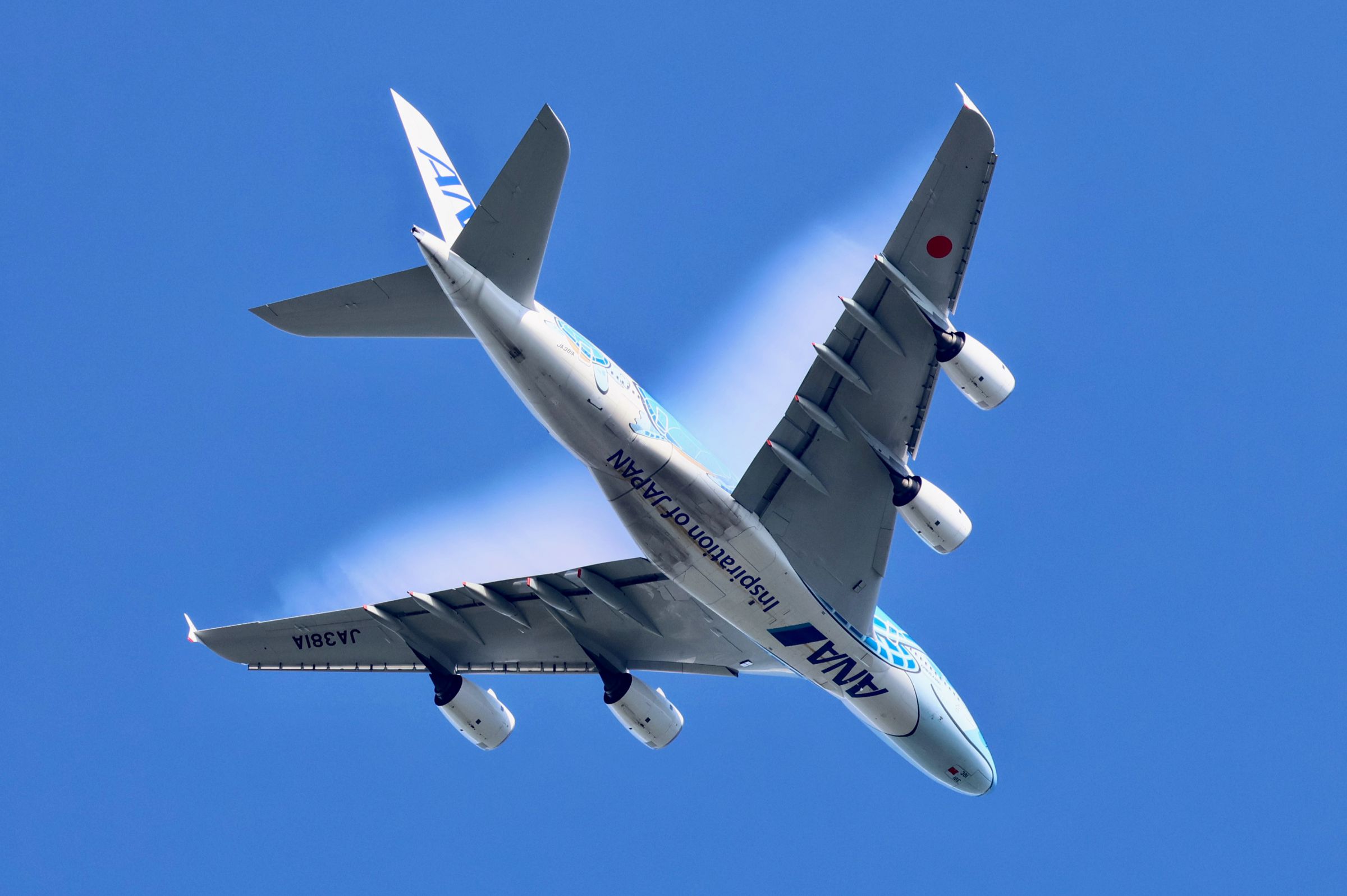 初めて見たフライングホヌのバイパー | GANREF