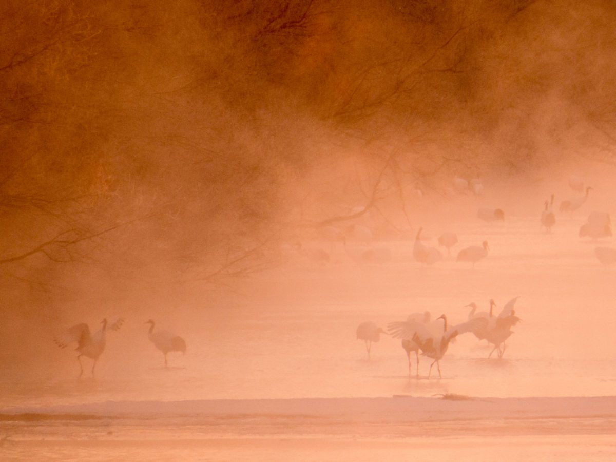 PowerShot SX50 HSで撮影された写真 | 写真検索 | GANREF