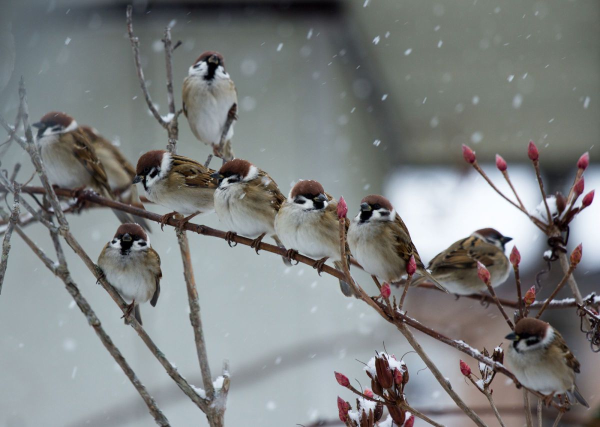 EF-S55-250mm F4-5.6 IS STMで撮影された写真 | 写真検索 | GANREF