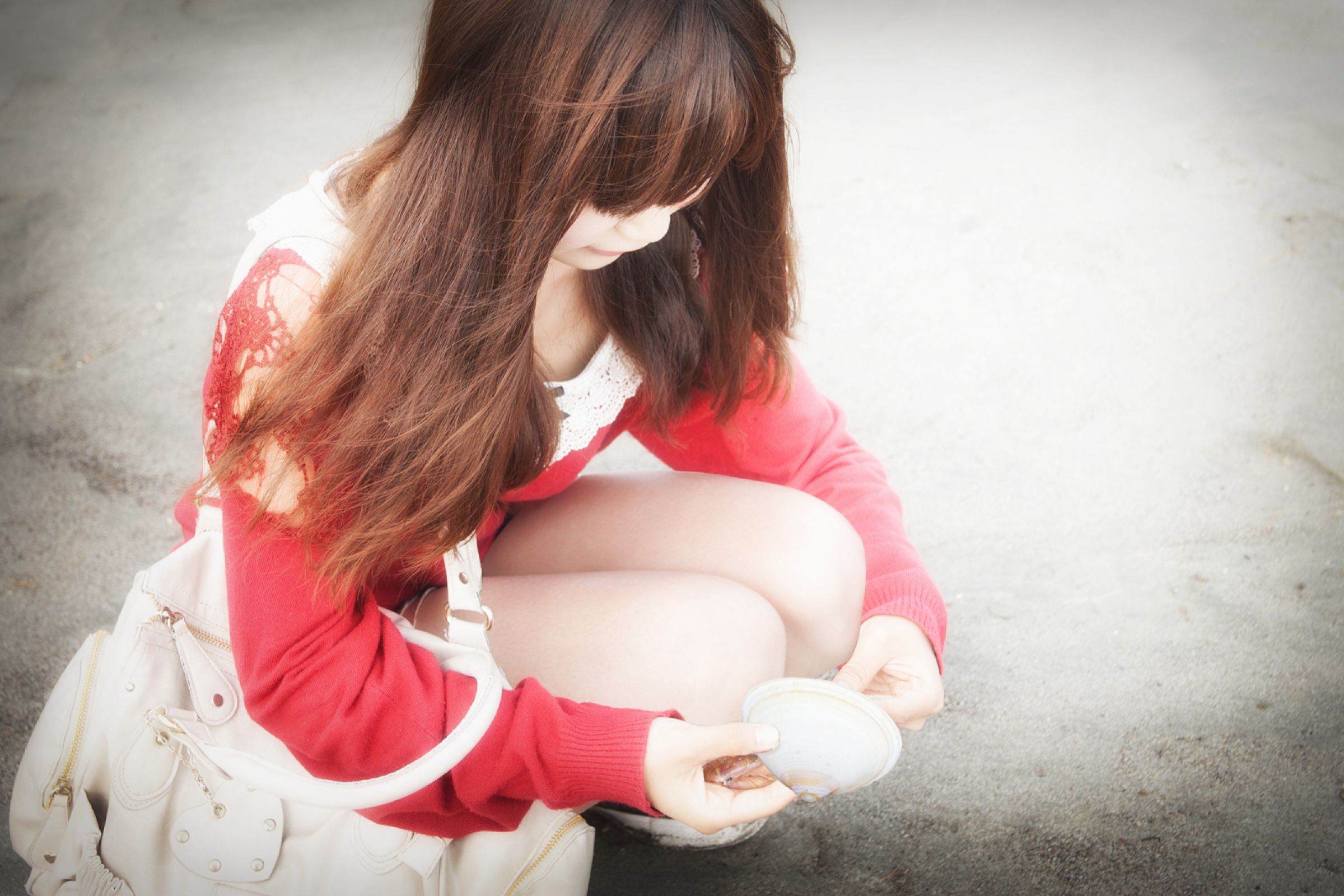 夏の思い出 | GANREF