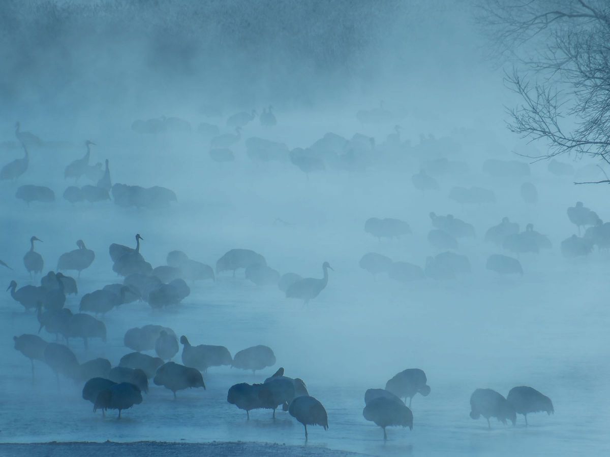 【作例あり】ジャンク Canon Powershot SX50 HS キヤノン、光学50倍ズーム対応「PowerShot SX50 HS」 - 価格.com