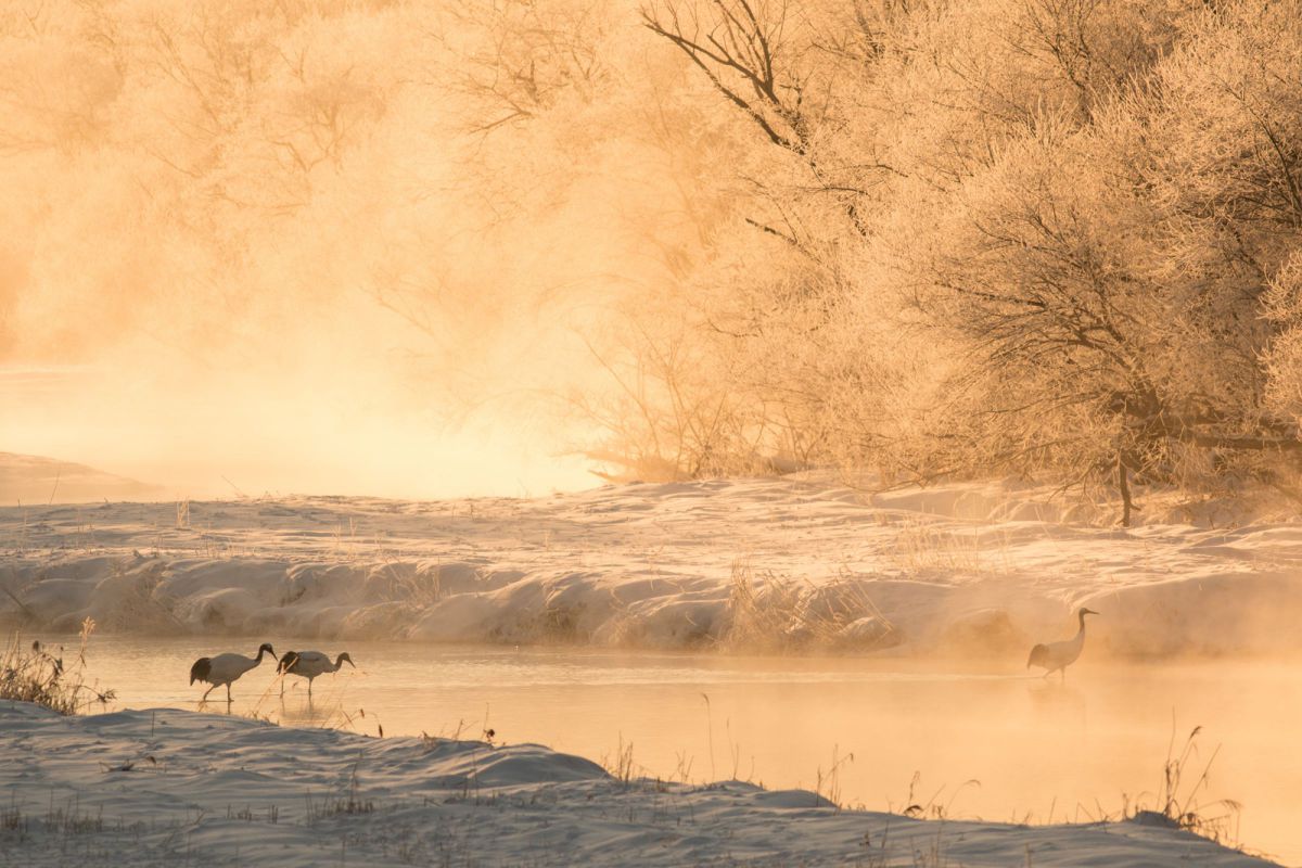 EF400mm F5.6L USMで撮影された写真 | 写真検索 | GANREF