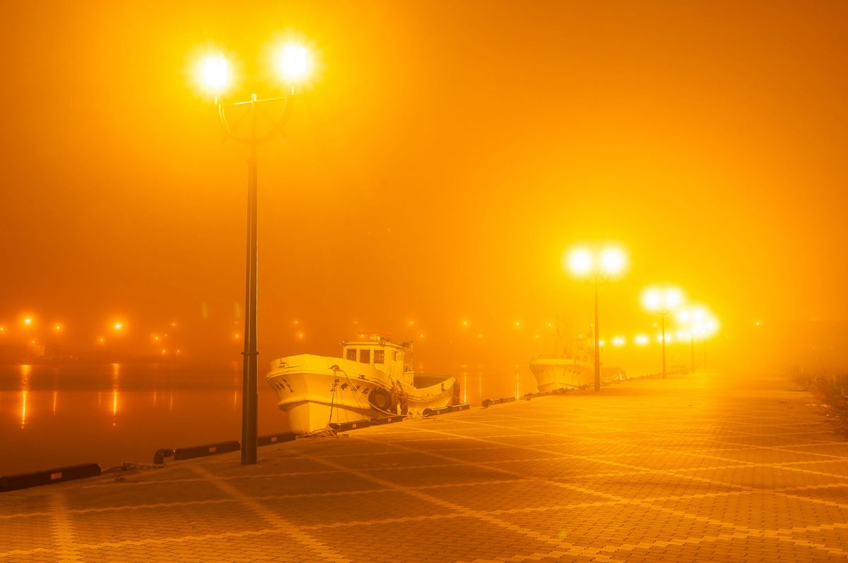 ❤️旅行やお出かけはこれ❤️Nikon D70 望遠レンズ付き 綺麗な写真が