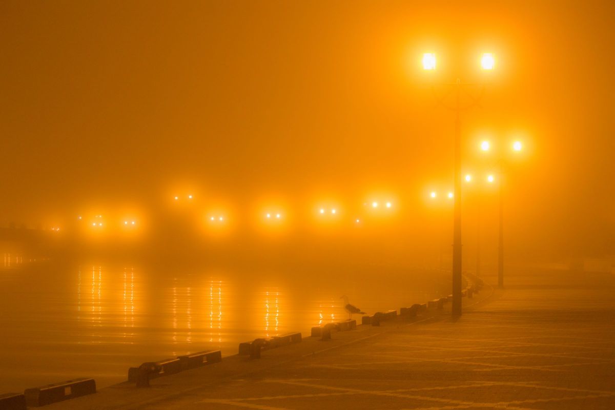 EF-S55-250mm F4-5.6 IS STMで撮影された写真 | 写真検索 | GANREF