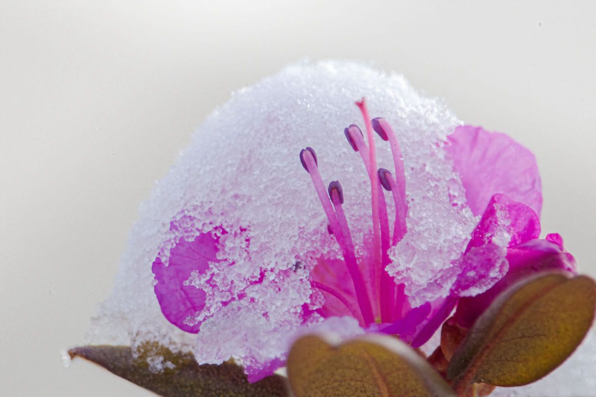 EF-S55-250mm F4-5.6 IS STMで撮影された写真 | 写真検索 | GANREF