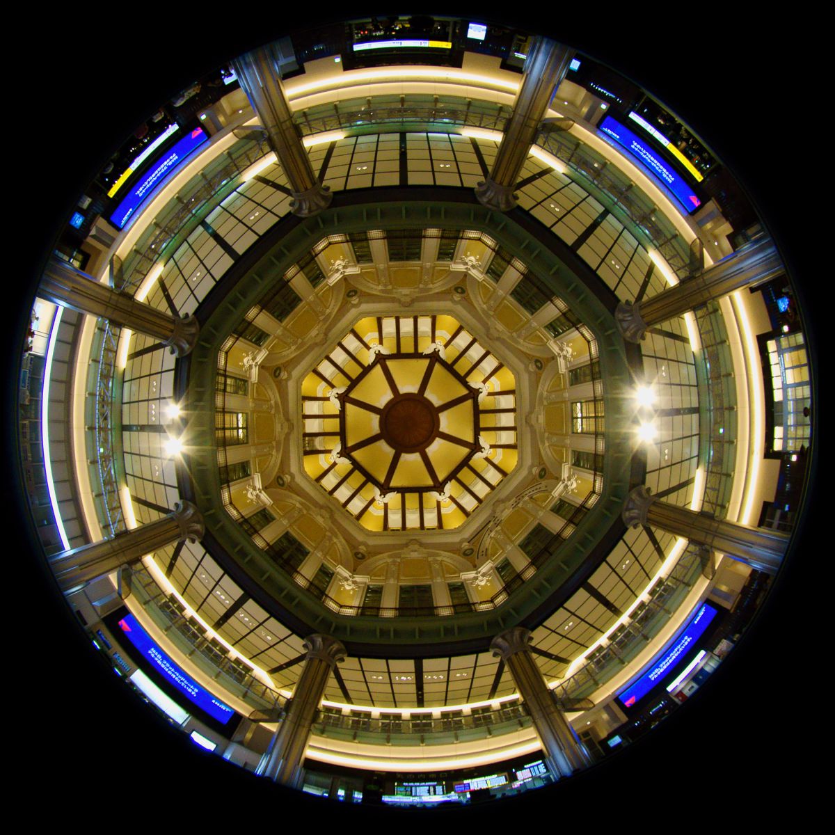 4.5mm F2.8 EX DC CIRCULAR FISHEYE HSMで撮影された写真 | 写真検索