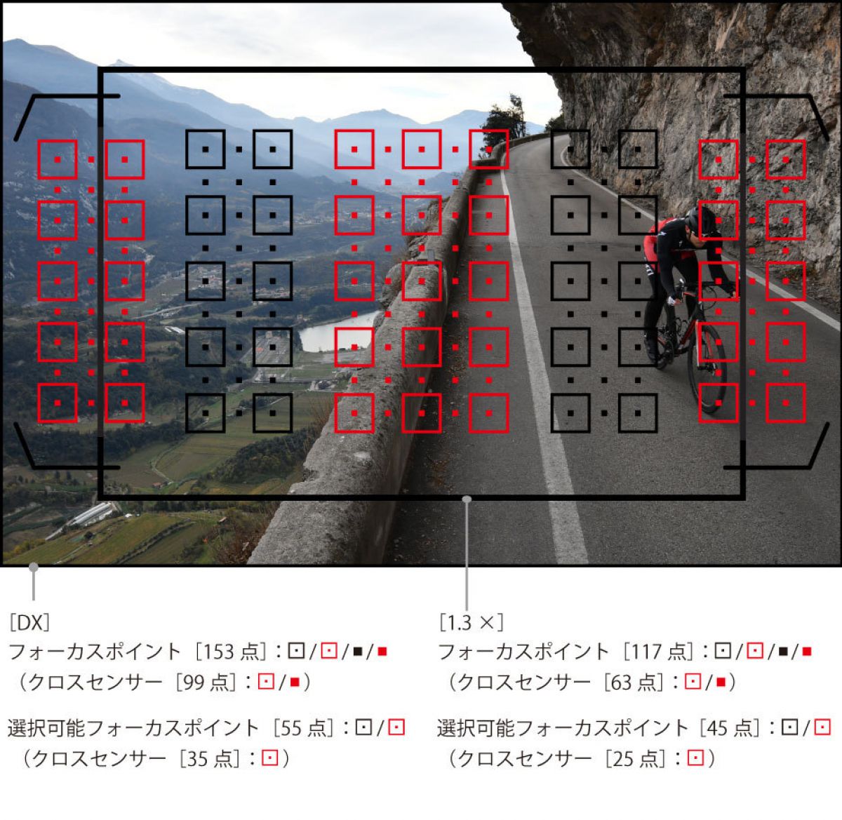 ニコンZ 7］レビュー8「フォーカスエリアの広さと高画素の両立」 | GANREF