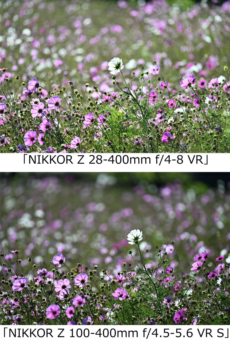 超現実的視点 ニコン Z8＆超望遠レンズ］レビュー18「我が家の選んだ400mm望遠レンズ