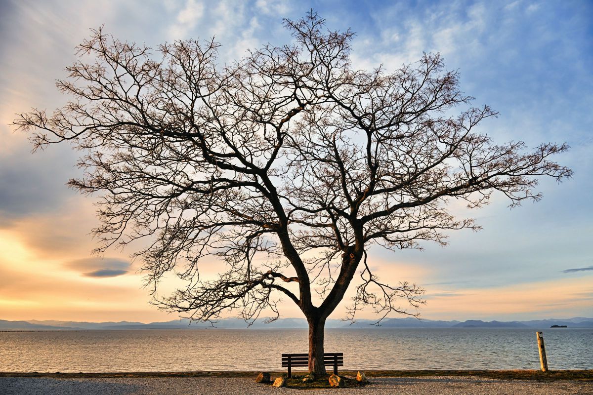 NIKKOR Z DX 18-140mm f/3.5-6.3 VRで撮影された写真 | 写真検索