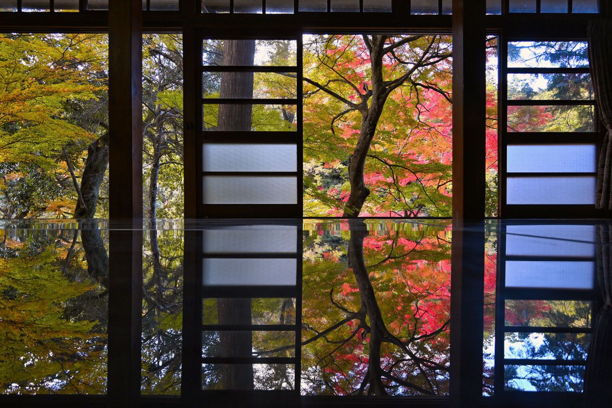 ニコン Z8＆超望遠レンズ］レビュー04「Z8で撮る大瀧神社の紅葉－広角