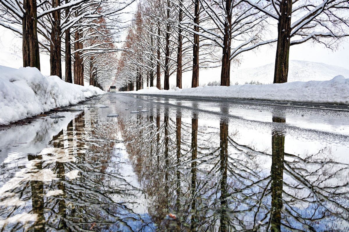 NIKKOR Z DX 16-50mm f/2.8 VRで撮影された写真 | 写真検索 | GANREF