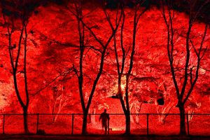 写真 サムネイル