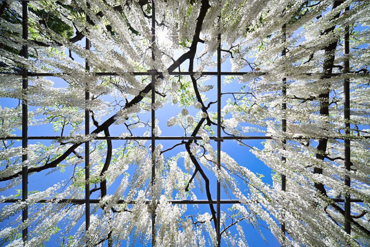 9mm F5.6 W-Dreamerで撮影された写真 | 写真検索 | GANREF