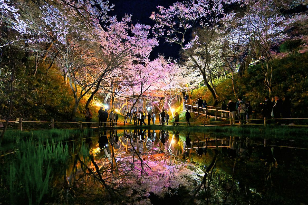 写真・グラフィック Arsenic 写真作例】コスパと写りに優れた単焦点レンズLEICA DG SUMMILUX 25mm