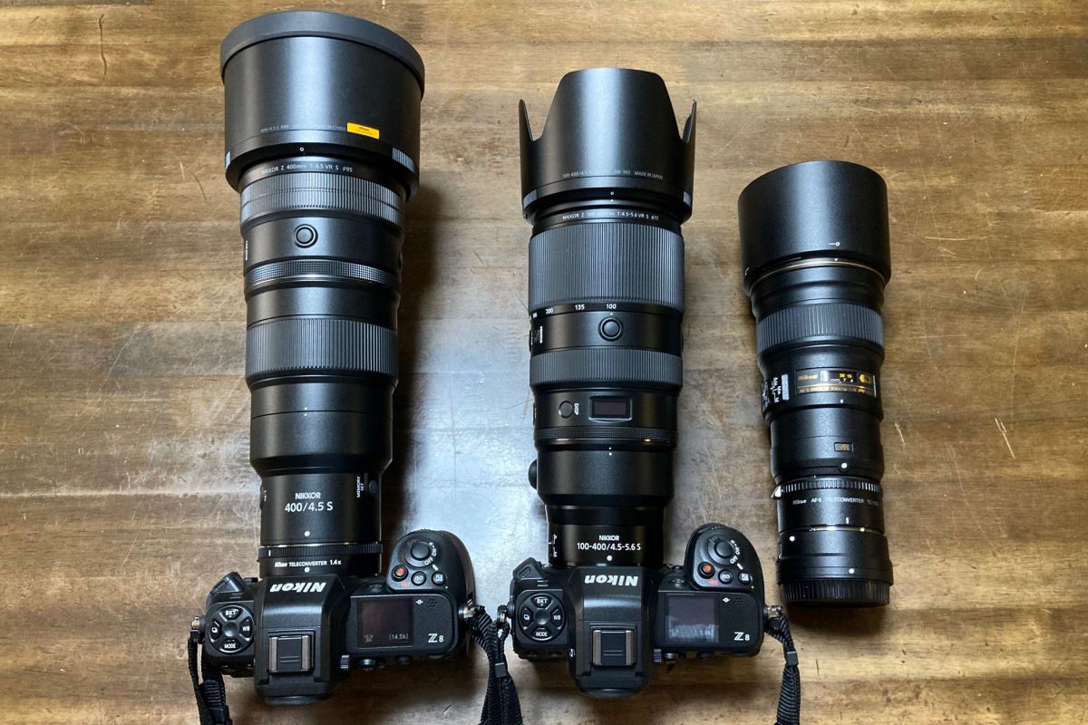 ニコンZ 8］レビュー38「単焦点レンズとの相性は抜群！？」 | GANREF