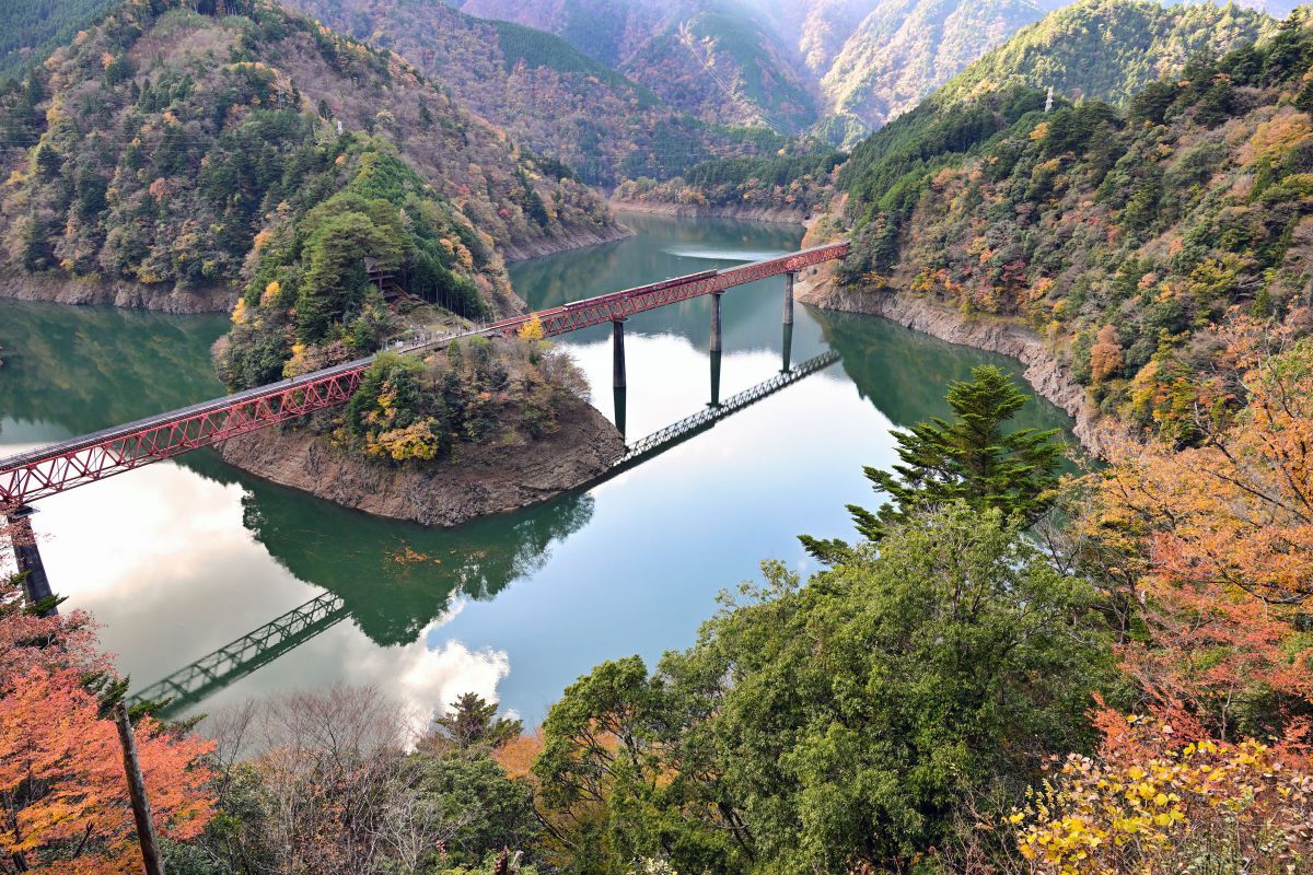 行動観察 ニコン Z8 & NIKKOR Z 24-70mm f/2.8 S II］レビュー44「最終回「この