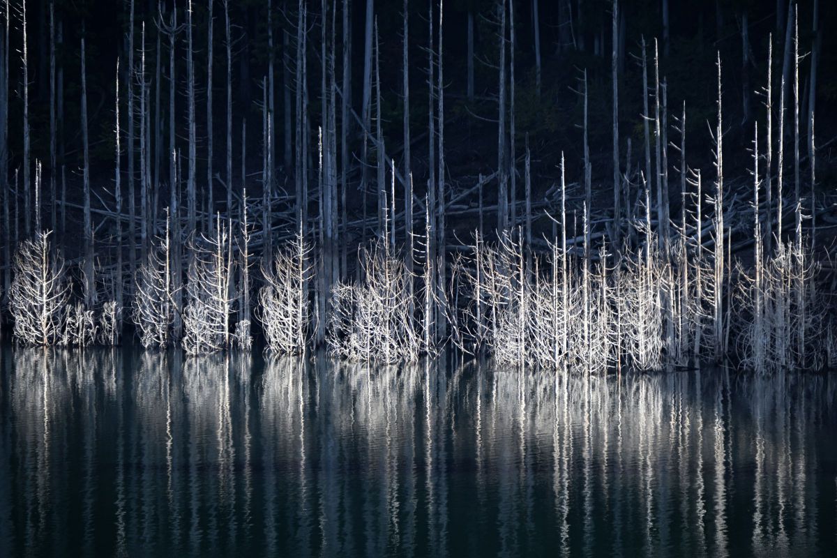 18-300mm F/3.5-6.3 Di III-A VC VXDで撮影された写真 | 写真検索 | GANREF