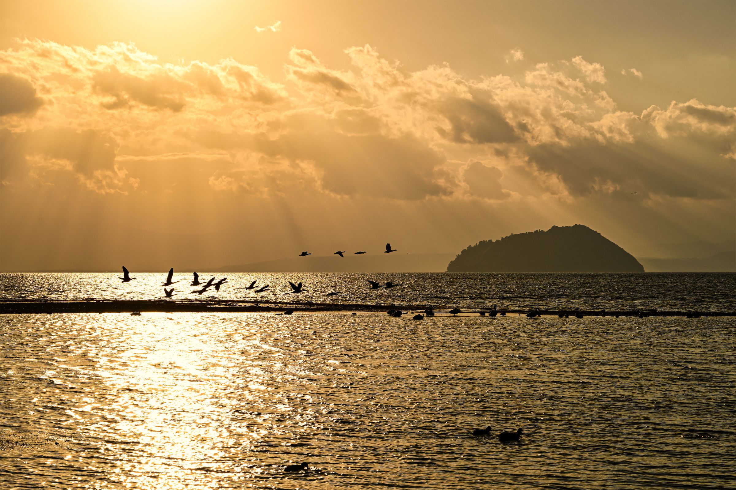 作例集 夕暮れに舞う！ | GANREF