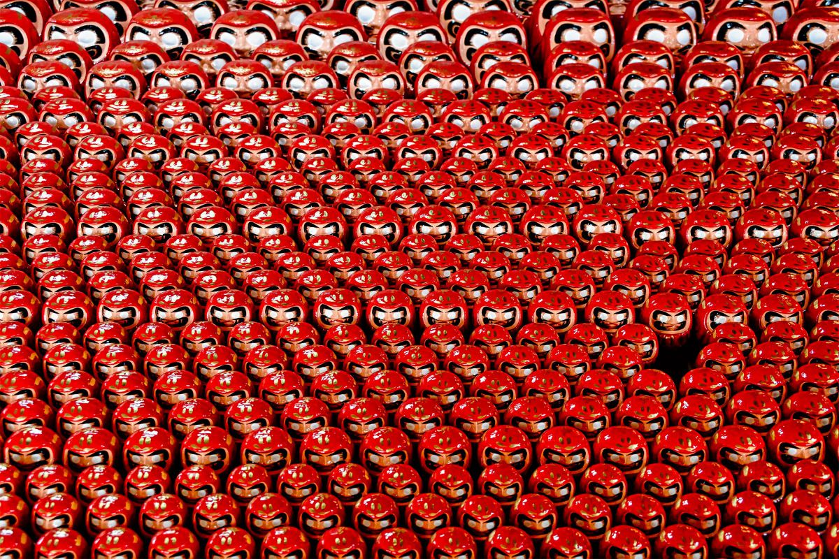 NIKKOR Z 24-200mm f/4-6.3 VRで撮影された写真 | 写真検索 | GANREF