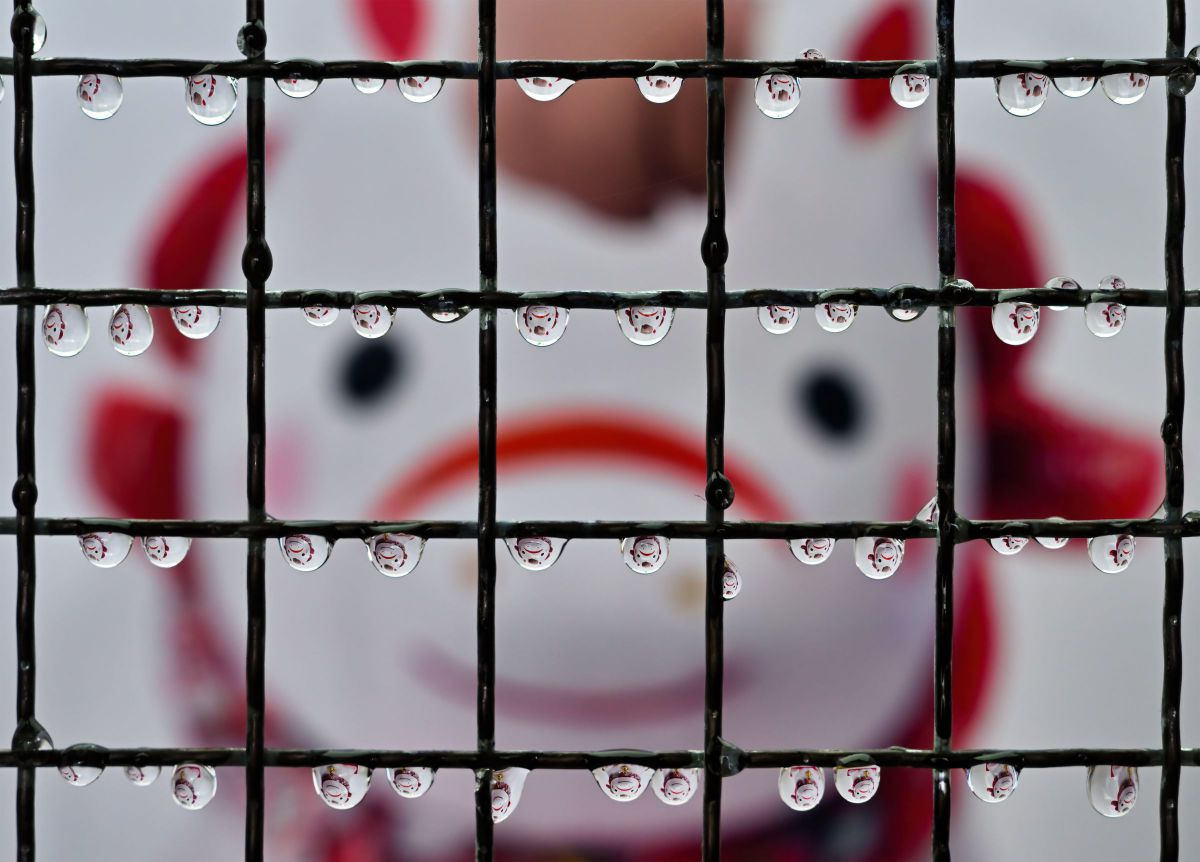 NEONEOさんのポートフォリオ | GANREF