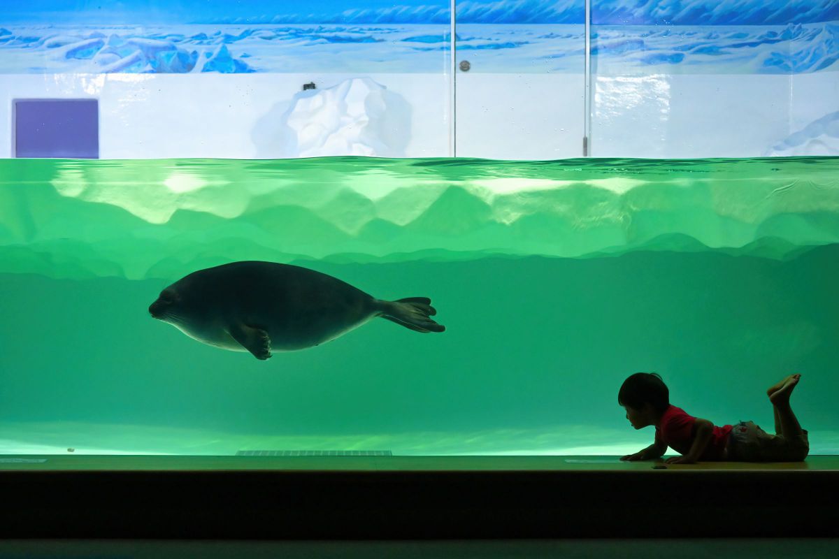 Z6IIIで撮影された写真 | 写真検索 | GANREF