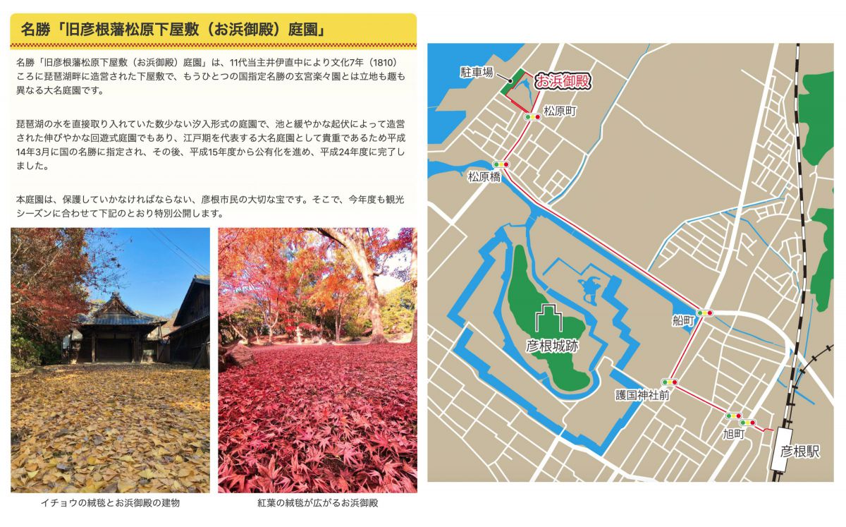 ニコン Z8 & NIKKOR Z 24-70mm f/2.8 S II］レビュー28「決め手は