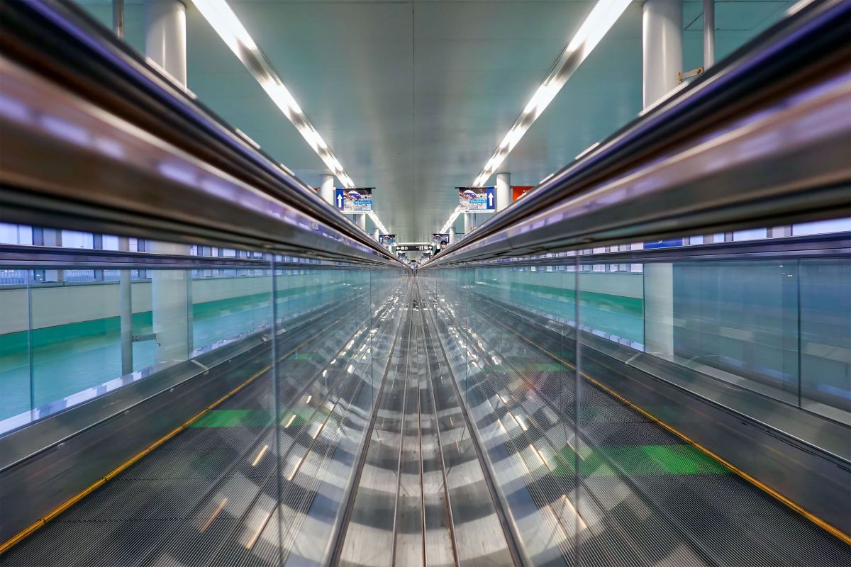 カメレオ フォト 🟠くらかめれっど🟠 on X