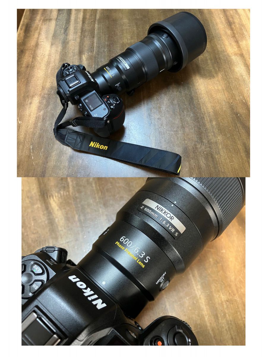 ニコン Z8＆超望遠レンズ］レビュー25「リベンジ・山本山のオオワシ