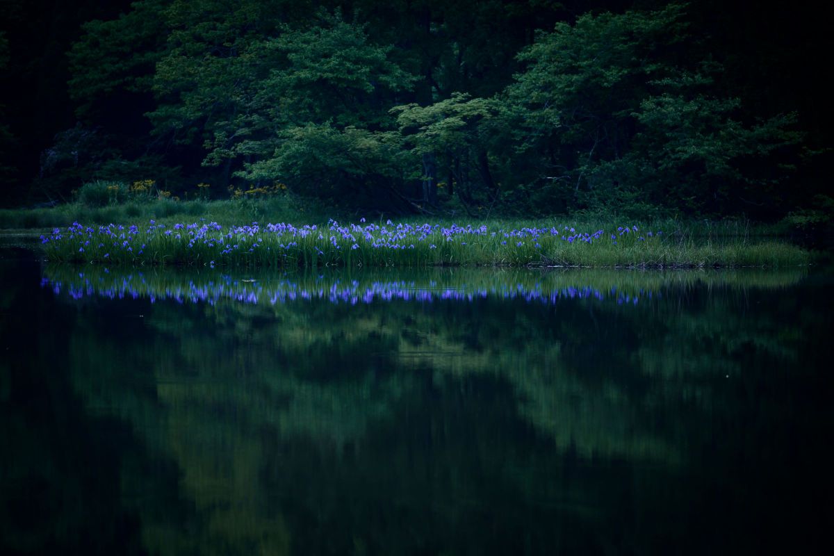 Z 7で撮影された写真 | 写真検索 | GANREF