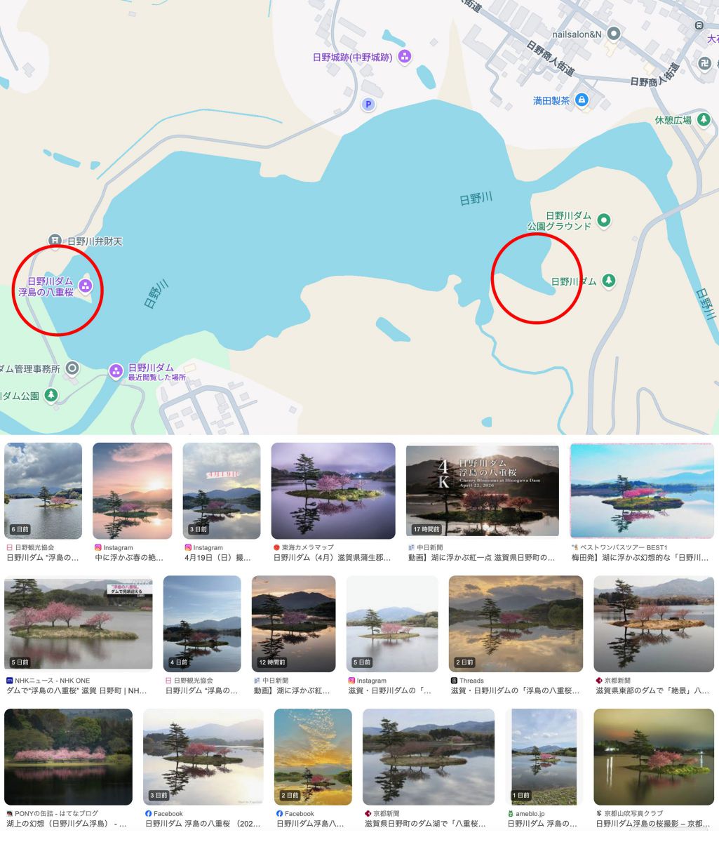 浮島の八重桜〜日野川ダム撮影記 | GANREF