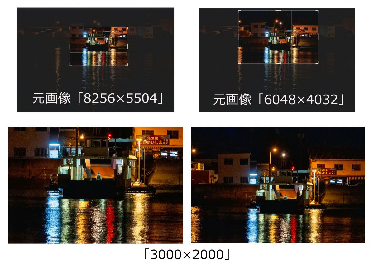 ニコンZ6Ⅲ］レビュー27「画素数とトリミング耐性」 | GANREF
