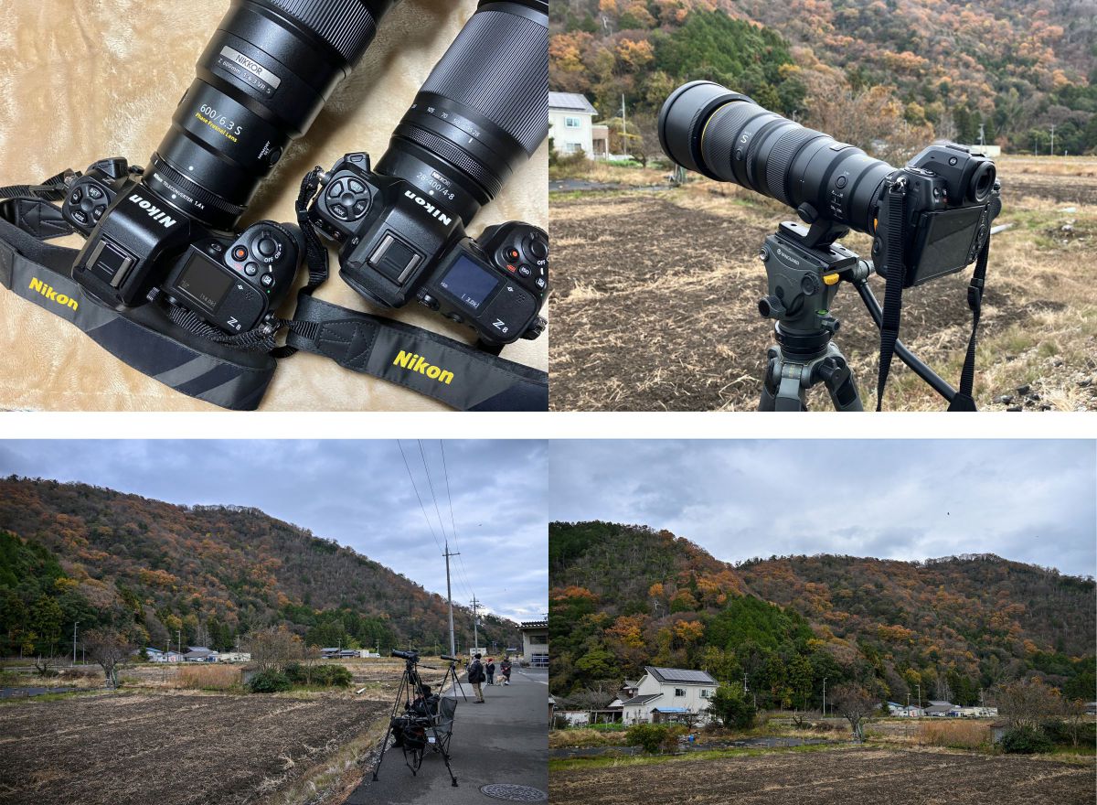 ニコン Z8＆超望遠レンズ］レビュー22「山本山のオオワシ撮影」 | GANREF