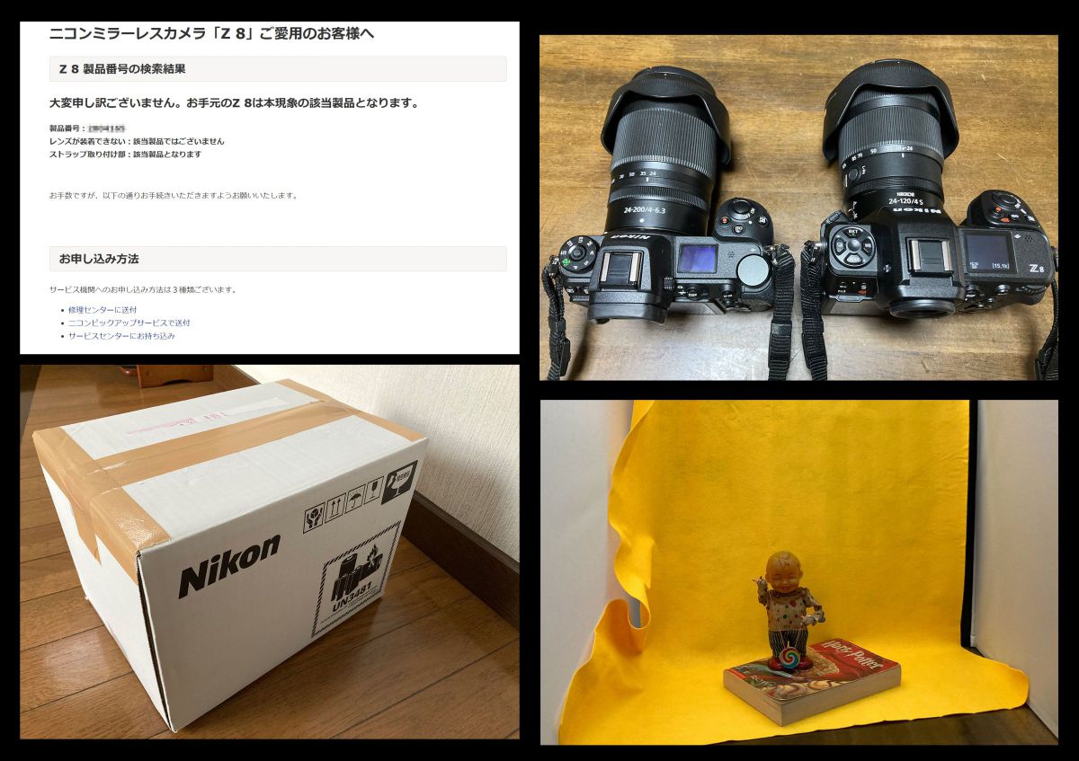 ニコンZ 8］レビュー21「ISO感度耐性は本当にZ7Ⅱより弱いのか