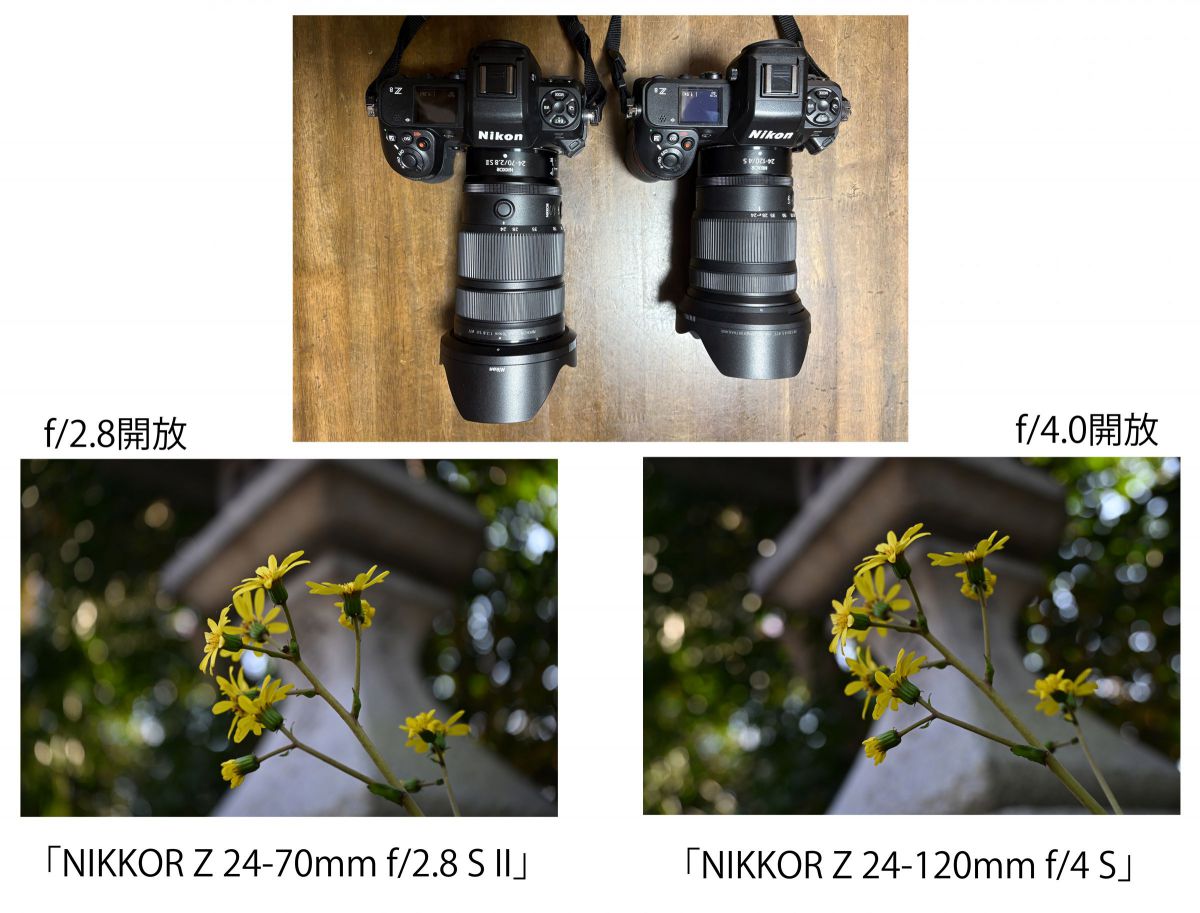 ニコン Z8 & NIKKOR Z 24-70mm f/2.8 S II］レビュー30「「NIKKOR Z 24