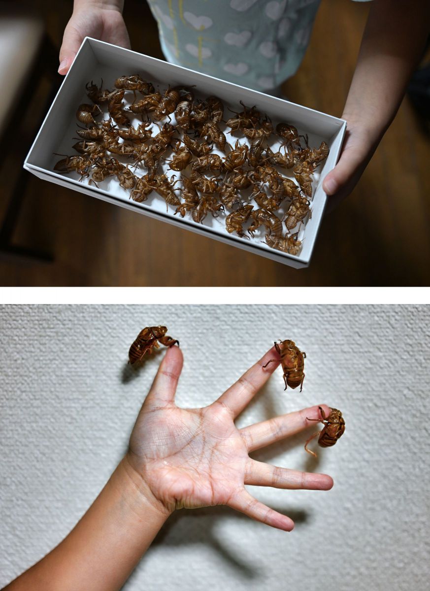 フォトジェニック 76枚 Amazon.co.jp: JCJMY 12x17インチ ホワイト 写真フレーム 4枚セット