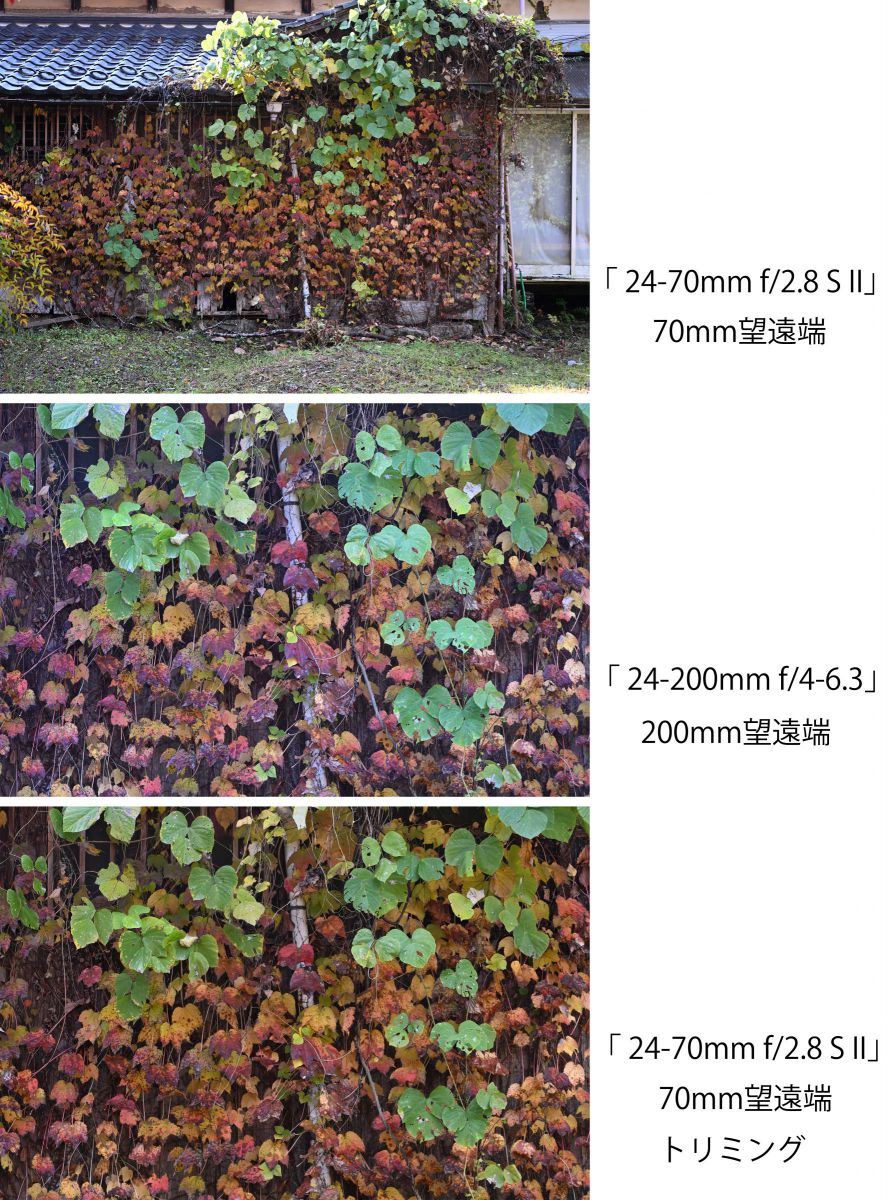 ニコン Z8 & NIKKOR Z 24-70mm f/2.8 S II］レビュー28「決め手は