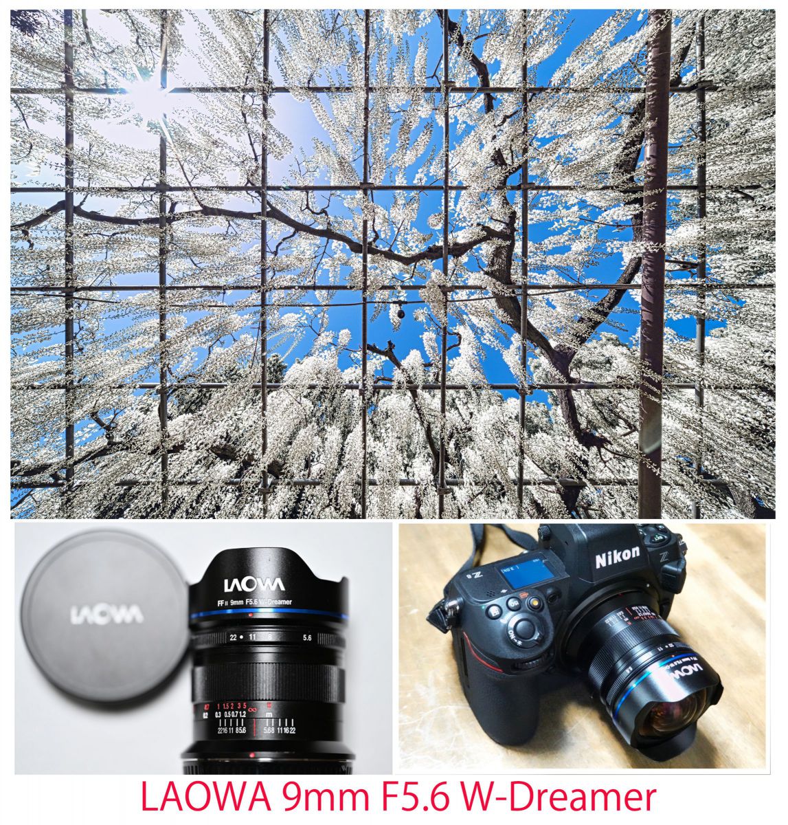 フルサイズ超広角レンズ選びの結論-LAOWA 10mm F2.8 ZERO-D FF | GANREF