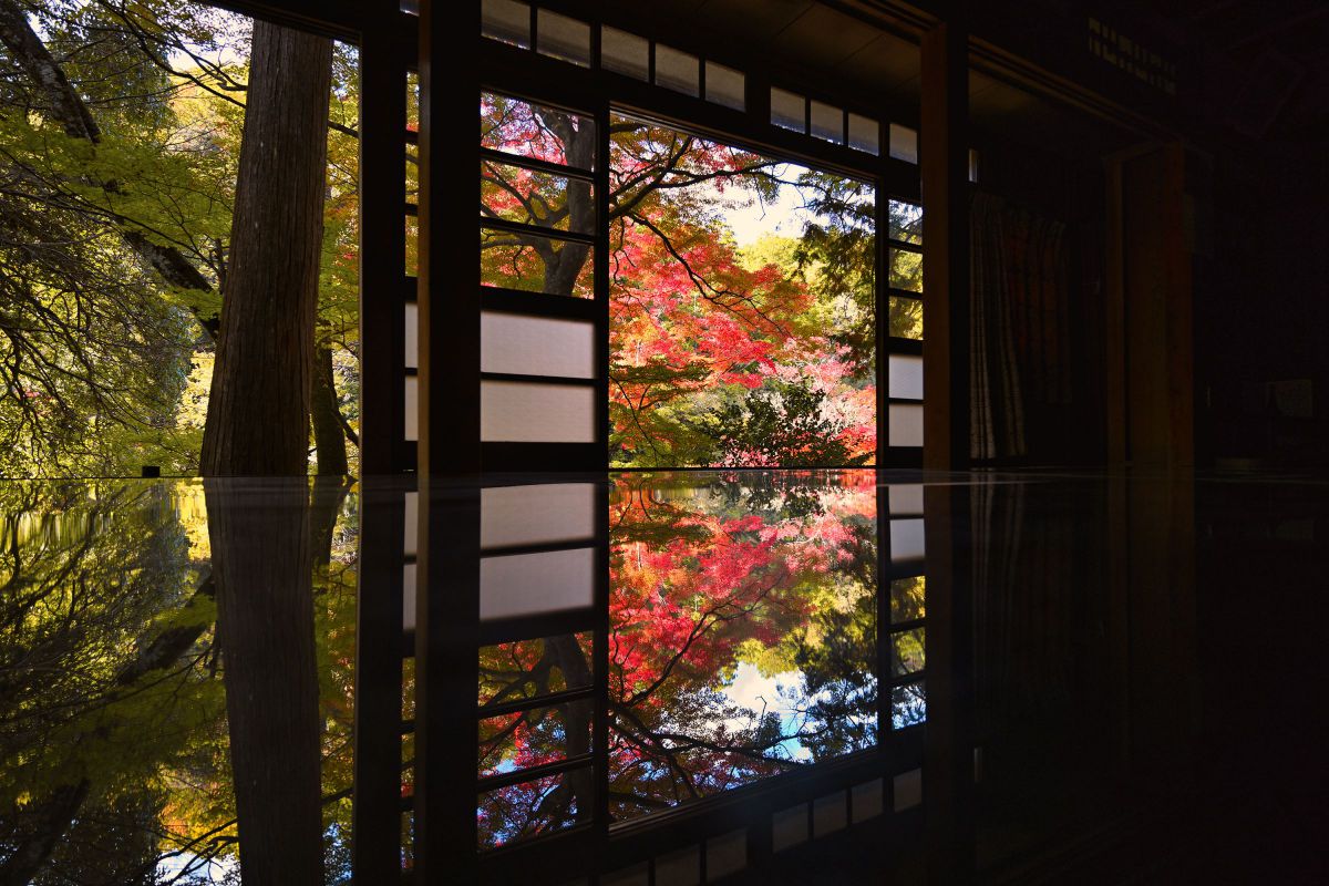 ニコン Z8＆超望遠レンズ］レビュー04「Z8で撮る大瀧神社の紅葉－広角