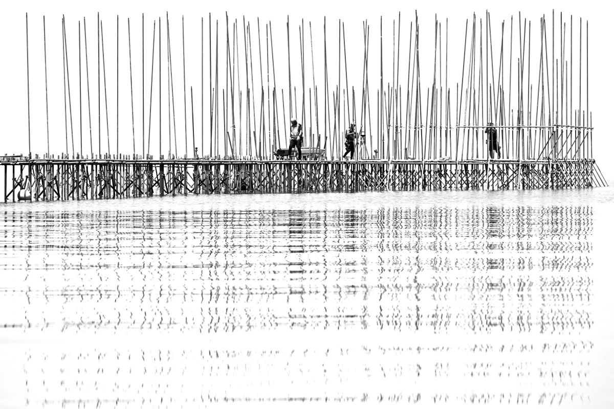 ニコン Z5II & Z6III」28- オリジナルFCPCレシピ「NEONEO琵琶湖