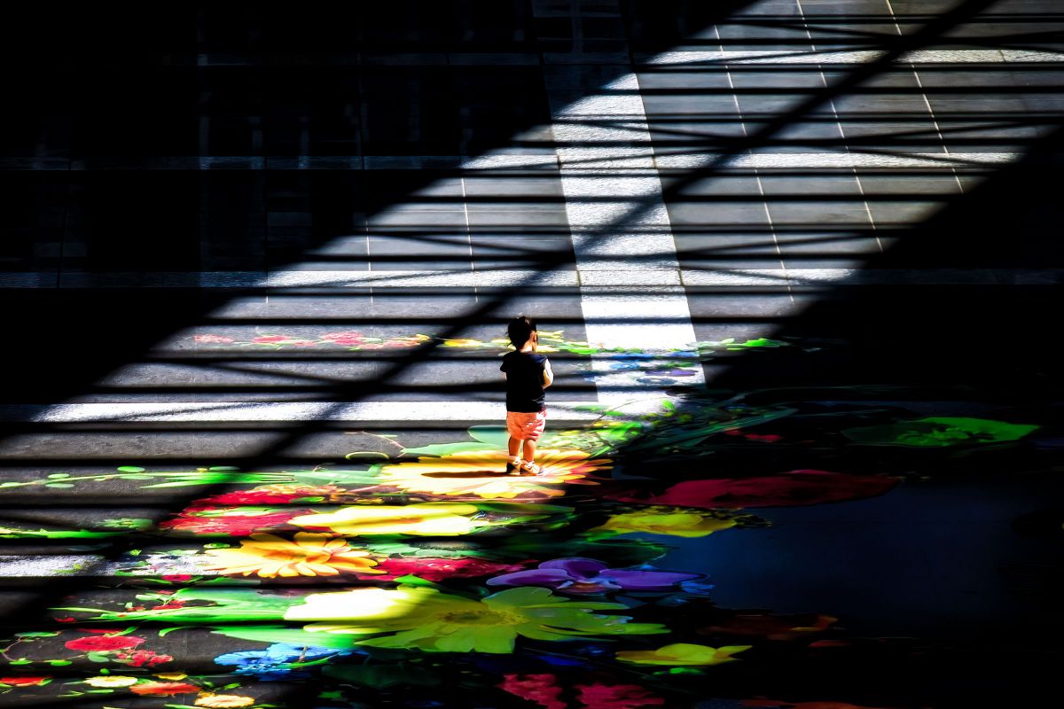 AF-S DX NIKKOR 18-140mm f/3.5-5.6G ED VRで撮影された写真 | 写真